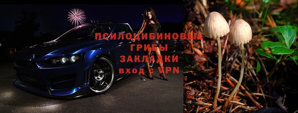 мяу мяу мука Баксан