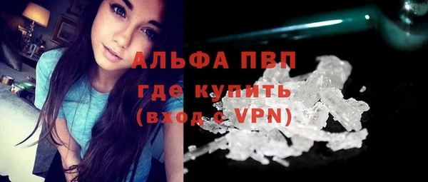 мяу мяу мука Баксан