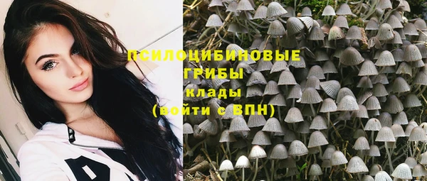 ПСИЛОЦИБИНОВЫЕ ГРИБЫ Балабаново