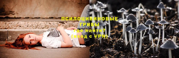 ПСИЛОЦИБИНОВЫЕ ГРИБЫ Балабаново