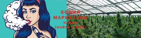 ПСИЛОЦИБИНОВЫЕ ГРИБЫ Балабаново