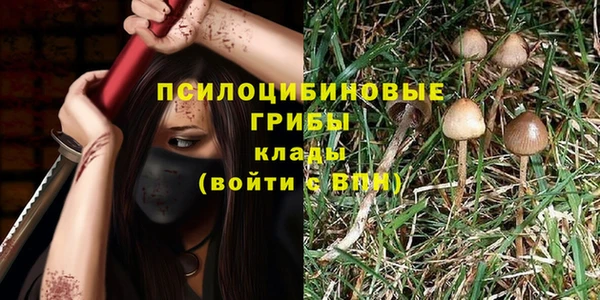 ПСИЛОЦИБИНОВЫЕ ГРИБЫ Балабаново