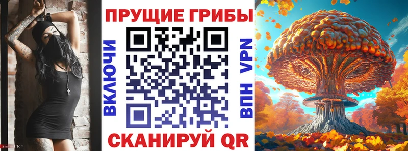 Псилоцибиновые грибы GOLDEN TEACHER  где купить наркотик  Лаишево 